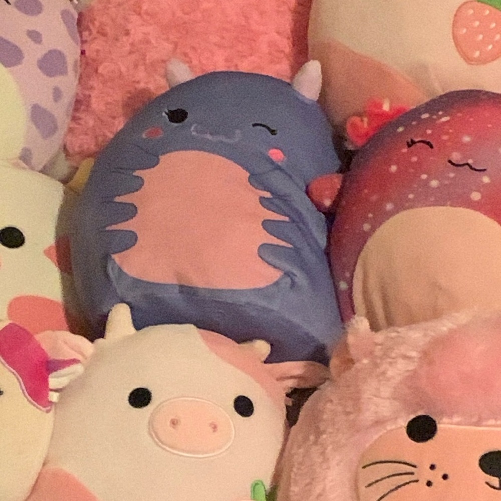 Kamili the sea pig 8 inch squishmallow NWT